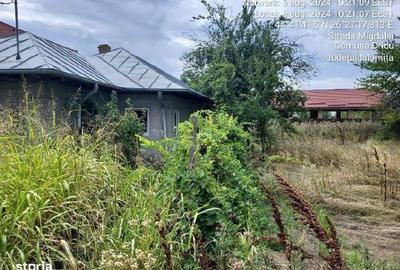 Casă cu 2 camere în Dridu - 2
