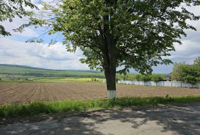 Spațiu comercial, în Mitocu Dragomirnei - 1