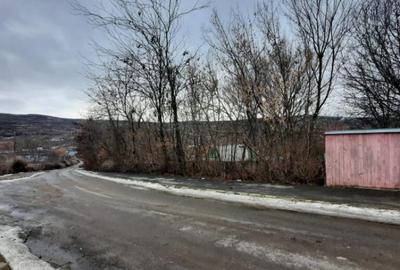 Oportunitate de investitie, teren intravilan Husi, 10435 mp - 5