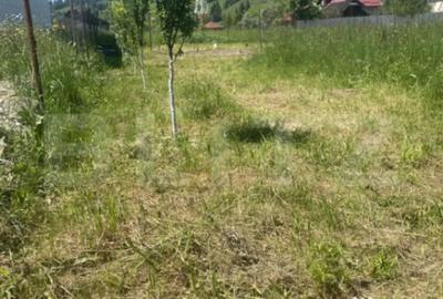 Teren de 1000 mp, în Central - 5