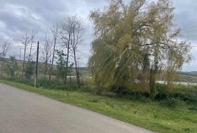 Spațiu comercial, în Mărtinești - 5