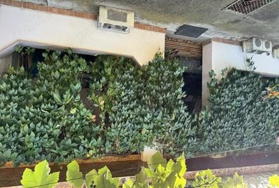 Casă cu 5 camere în Moniom - 1