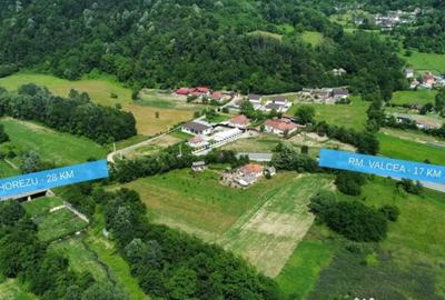 Teren de 10176 mp, în Mihăești - 4