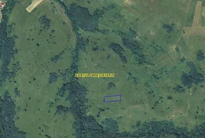 Teren de 3700 mp, în Dalboșeț - 4