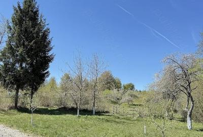 Teren de 4193 mp, în Breb - 2