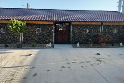 Spațiu comercial, de 120 mp, în Fibiș - 5