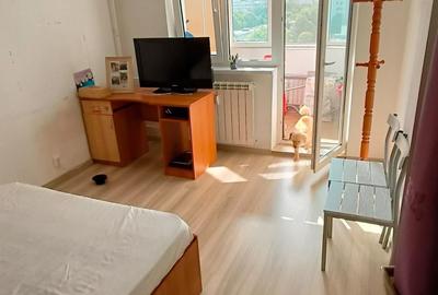 Brancoveanu -  Apartament 2 camere Mobilat Utilat - 3
