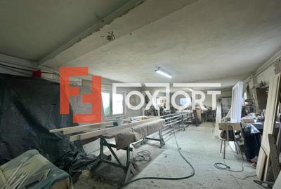 Spațiu comercial, 400 mp în Mehala