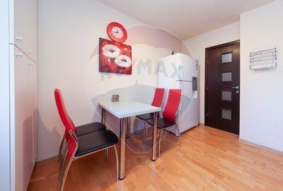 Apartament modern 2 camere -  pet friendly loc parcare - 3