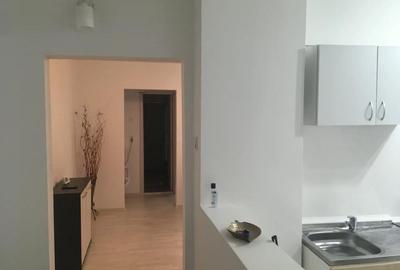 Apartament cu 2 camere semidecomandat în Craiovița Nouă - 3