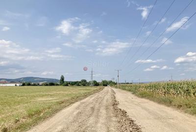 Teren Destinatie Industriala - 24