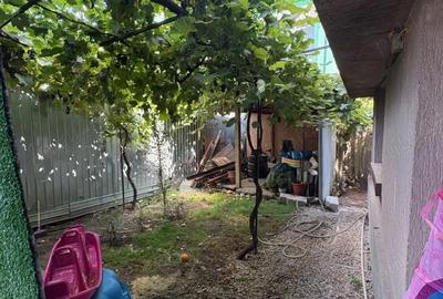 Casă cu 3 camere cu Teren 260 Mp în Brătianu - 19