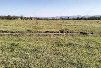Teren de 10600 mp, în Crocna - 4