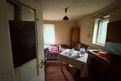 Casă individuală cu 2 camere cu Teren 6600 Mp în Așchileu Mare - 4