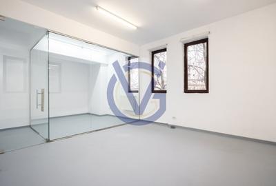 Vila reprezentativa Universitate pretabila la multiple destinatii - COMISION 0% - 36