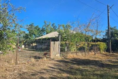 Casa si teren-Com Tamadau Mare, jud. Calarasi - 6
