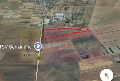 Teren 40ha Adunatii Copaceni | Industrial/ Logistic - 4