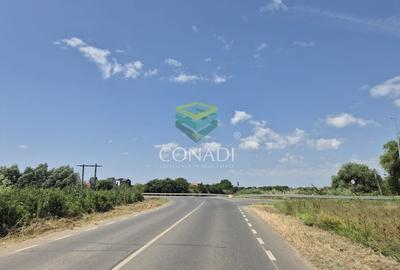 Teren - dezvoltare rezidentiala - Tunari 10.000 mp Teren - dezvoltare rezidentiala - Tunari 10.000 mp - 5