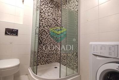 Garsoniera | Aviatiei I  INVESTITIE - 9