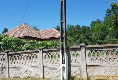 Casă cu 4 camere în Miluta - 7