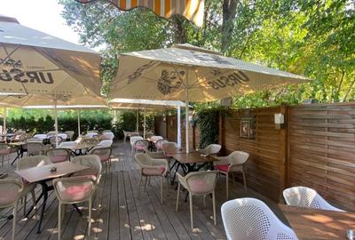 REC3001500 Restaurant de vanzare  Parcul Tineretului - 3