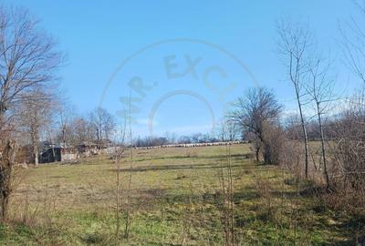 Teren Construcții intravilan de 6500 mp, în Rociu - 1