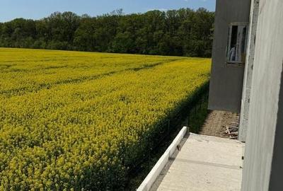 Vile Individuale Noi 4 camere Snagov Ghermanesti - 12