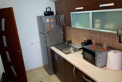 Garsonieră decomandată, mobilată în Găvana 3 - 10