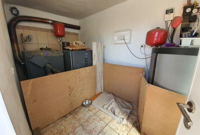 Casa de vacanta | Curte | Teren | Belciugatele | Calarasi - 20