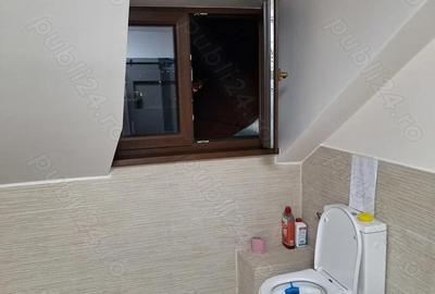 Apartament cu 2 camere decomandat în Turnișor - 4