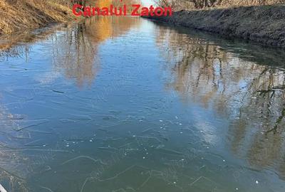 Teren intravilan in Delta -loc BALTENII DE JOS - 11