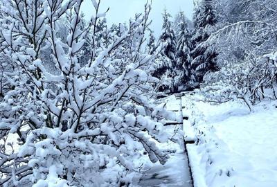 Teren pentru investitii 11.000 mp - 19