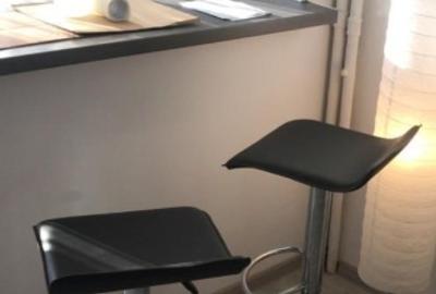 Gaesoniera moderna- Langa Coresi Mall- str 13 Decembrie - 3