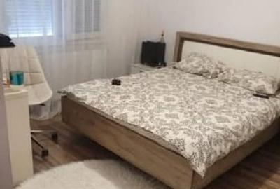 Duplex cu 3 camere cu Teren 300 Mp în Remetea Mare - 3