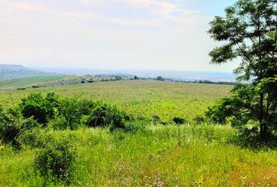 28.554 mp TEREN EXTRAVILAN, TURDA - SĂNDULEȘTI, jud. CLUJ, 300 m de AUTOSTRADA - 16