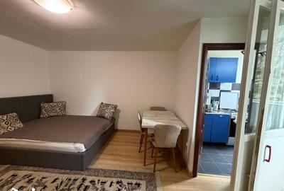 Garsonieră în Mănăștur