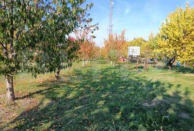 Teren de 6360 mp, în Măgurele - 1