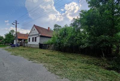 Casa batraneasca + teren Cralovat(Timis) - 4