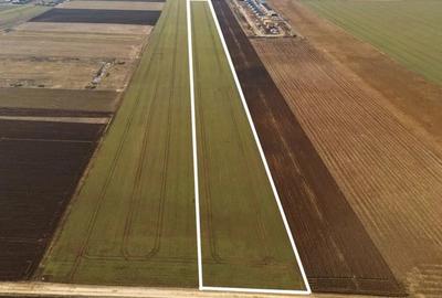 Teren de 38500 mp, în Uzina 2 - 6