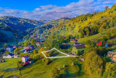 COMISION 0% Teren 1,564mp Moieciu de Jos/ Intravilan - 4