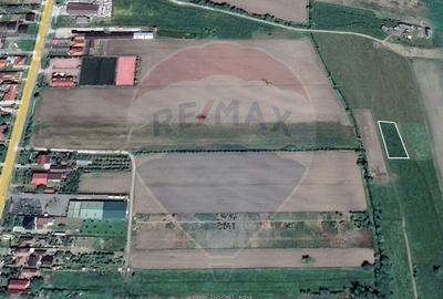 TEREN DE VANZARE - Satu Mare zona Lucian Blaga - 1