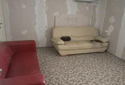 Casa la curte voluntari - 7