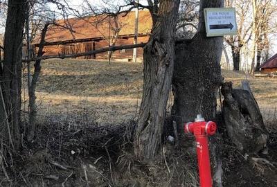Parcele teren intravilan 2000 mp, curent, apa si gaz langa teren - 8