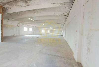 Hala de depozitare sau productie | Șagului | Steaua - 3