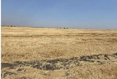 Teren de 16700 mp, în Periferie - 5