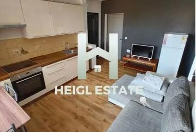 Apartament cu 3 camere semidecomandat, mobilat în Iosefin - 2