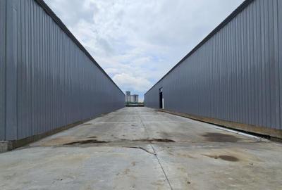 Hale Industriale | DN2 | Afumati-Doraly Expo - 1