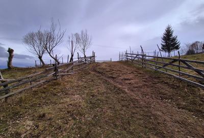 Teren investitie Pestera/ 13570mp extravilan/Comision 0 % - 3