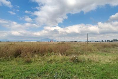 Teren Intravilan - 5