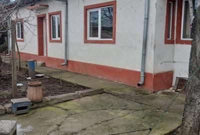 Casă cu 3 camere cu Teren 991 Mp în Vadu Pașii - 4